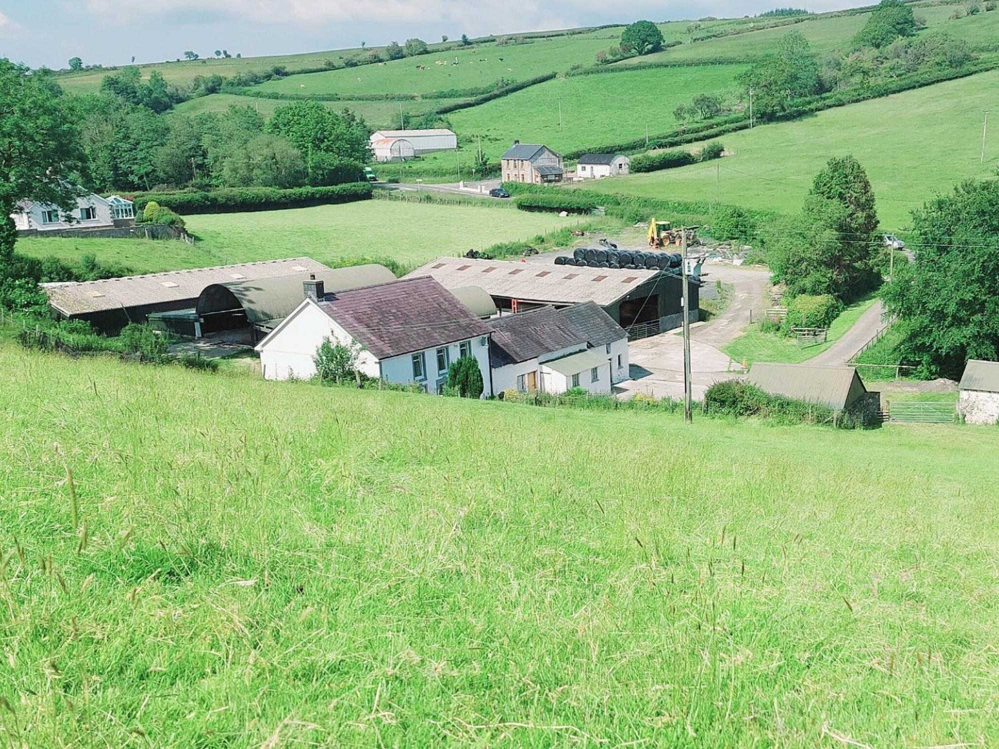 Typicca Farmhouse Brechfa Εξωτερικό φωτογραφία